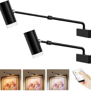 Battery Operated Picture Light, Adjustable Length Wireless Art Light for Paintings CCT Dimmable Rechargeable Picture Light with Remote Control for Gallery Reading Dartboard Bathroom 2PCS