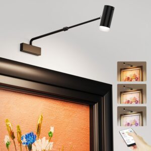 Battery Operated Picture Light, Adjustable Length Wireless Art Light for Paintings CCT Dimmable Rechargeable Picture Light with Remote Control for Gallery Reading Dartboard Bathroom